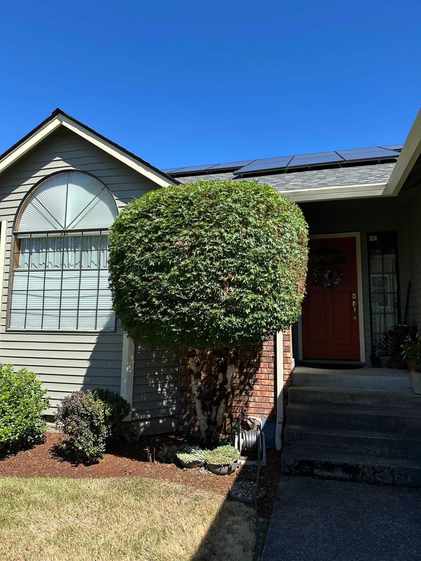 Yard Maintenance & Tree Service
